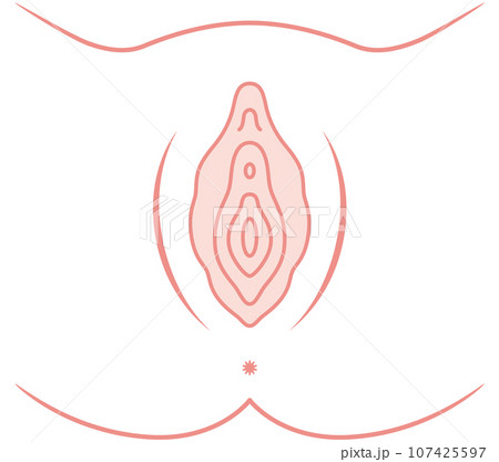 女性生殖器の説明図　膣 107425597