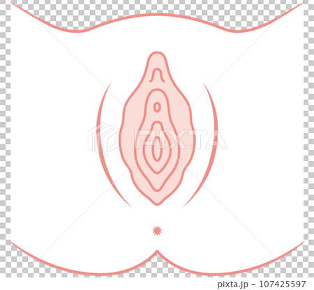 女性生殖器の説明図　膣 107425597