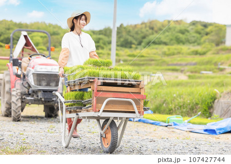 農業　農家　若い女性 107427744