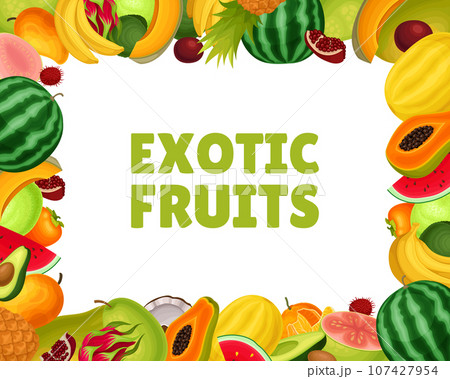 Exotic Fruit Banner Design with Bright Sweet Garden Crop Vector Template Exotic Fruit Banner Design with Bright Sweet Garden Crop Vector Template 107427954