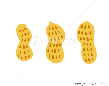 かわいい殻付きピーナッツ/手描きイラスト かわいい殻付きピーナッツ/手描きイラスト 107428365