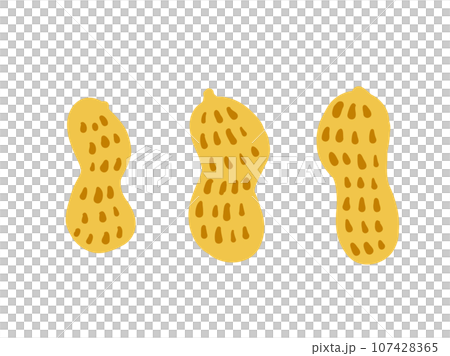 かわいい殻付きピーナッツ/手描きイラスト かわいい殻付きピーナッツ/手描きイラスト 107428365