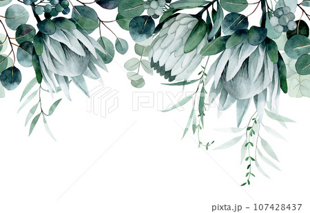 watercolor drawing. seamless border with tropical flowers and leaves. protea flowers and eucalyptus leaves 107428437