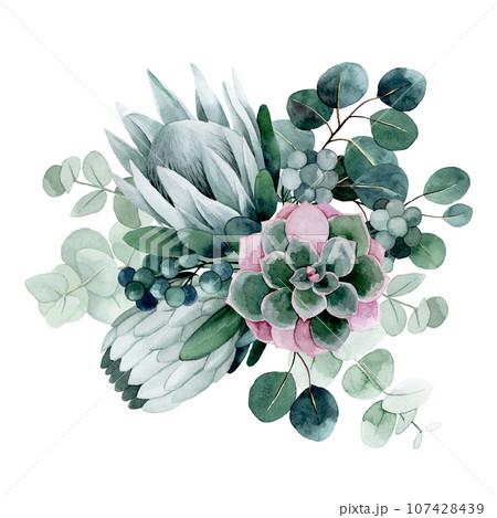 watercolor drawing. bouquet, composition with tropical flowers and leaves. Protea flowers and eucalyptus leaves 107428439