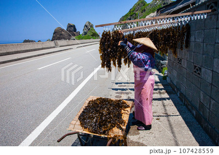 【新潟県･佐渡･外海府】青い海と天然わかめ・初夏の北鵜島部落 5月 6月 107428559