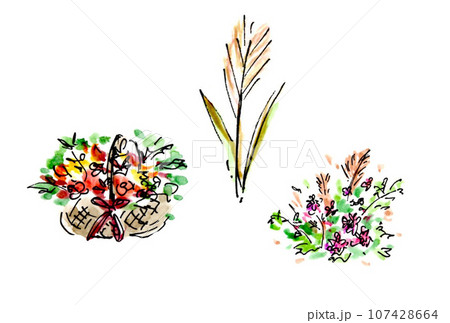 水性ペンと透明水彩絵の具で描いたススキと秋のフラワーアレンジメントのイラストセット 水性ペンと透明水彩絵の具で描いたススキと秋のフラワーアレンジメントのイラストセット 107428664