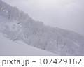 ニセコのパウダースノー 107429162