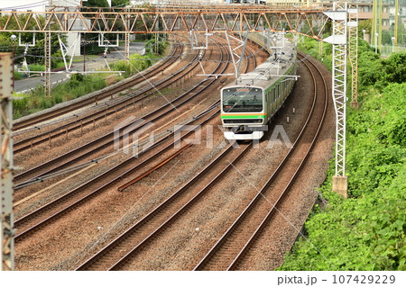 東海道線 大船~戸塚間 東海道線 大船~戸塚間 107429229