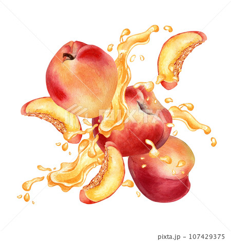 Watercolor illustration with apricots levitation on splashing juice isolated on white. Fruits and drops painting. Peach segment hand drawn. Design element for package, label product, cosmetic 107429375