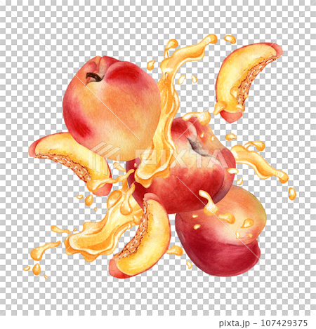 Watercolor illustration with apricots levitation on splashing juice isolated on white. Fruits and drops painting. Peach segment hand drawn. Design element for package, label product, cosmetic 107429375