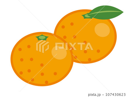 二つのみかんのイラスト素材 [107430623] - PIXTA
