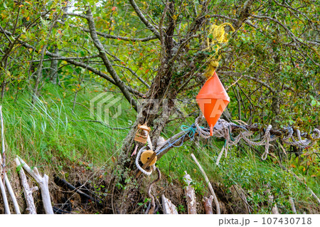 Autumn day seashore landscape and orange buoy set in a tree. 107430718