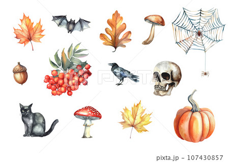 Watercolor halloween card. Pumpkin, mushroom, fly agaric, cat, crow, rowan, maple, oak, pine cone, acorn, skull. Watercolor halloween card. Pumpkin, mushroom, fly agaric, cat, crow, rowan, maple, oak, pine cone, acorn, skull. 107430857