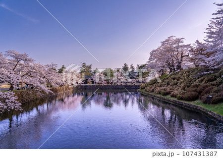 山形県米沢市 春の米沢城址のお堀と満開の桜 山形県米沢市 春の米沢城址のお堀と満開の桜 107431387