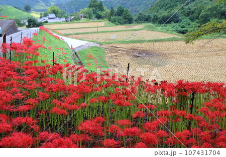 秋の田舎の風景 107431704