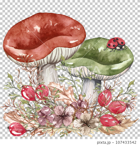 Watercolor autumn composition in vintage style. Hand painted wild mushrooms with dried leaves and twigs. Forest composition Watercolor autumn composition in vintage style. Hand painted wild mushrooms with dried leaves and twigs. Forest composition 107433542