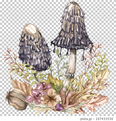 Watercolor autumn composition in vintage style. Hand painted wild mushrooms with dried leaves and twigs. Forest composition Watercolor autumn composition in vintage style. Hand painted wild mushrooms with dried leaves and twigs. Forest composition 107433550