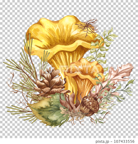 Watercolor autumn composition in vintage style. Hand painted wild mushrooms with dried leaves and twigs. Forest composition 107433556