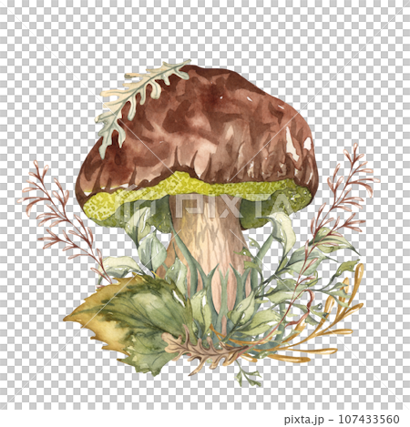 Watercolor autumn composition in vintage style. Hand painted wild mushrooms with dried leaves and twigs. Forest composition 107433560