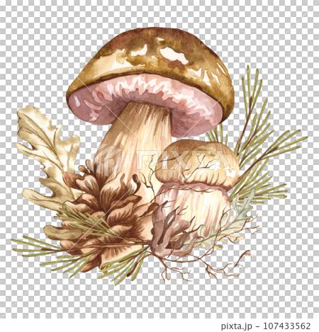 Watercolor autumn composition in vintage style. Hand painted wild mushrooms with dried leaves and twigs. Forest composition Watercolor autumn composition in vintage style. Hand painted wild mushrooms with dried leaves and twigs. Forest composition 107433562