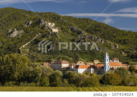 Wachau valley near Durnstein, UNESCO site, landscape with vineyards, Austria 107434024