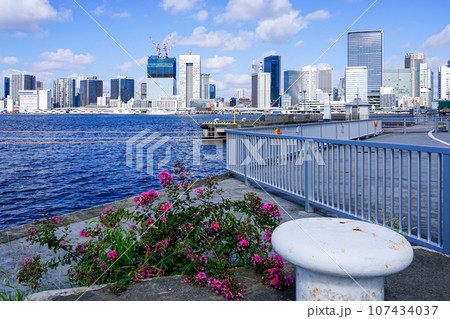 晴海ふ頭から、ゆりかもめ沿線の都市風景 晴海ふ頭から、ゆりかもめ沿線の都市風景 107434037