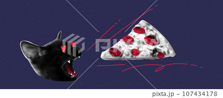 A collage on the theme of loving pizza. A cat with an open mouth. Pizza is flying into his mouth. Grunge background with minimalistic noise . Vector halftone illustration A collage on the theme of loving pizza. A cat with an open mouth. Pizza is flying into his mouth. Grunge background with minimalistic noise . Vector halftone illustration 107434178