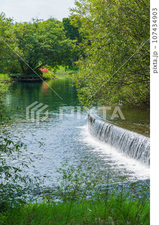 河川環境楽園、木曽川を再現した木曽川水園〈岐阜県各務原市〉 河川環境楽園、木曽川を再現した木曽川水園〈岐阜県各務原市〉 107434903