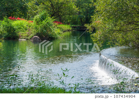 河川環境楽園、木曽川を再現した木曽川水園〈岐阜県各務原市〉 107434904