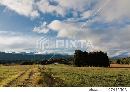 ひるがの高原の景色NO.1 107435508