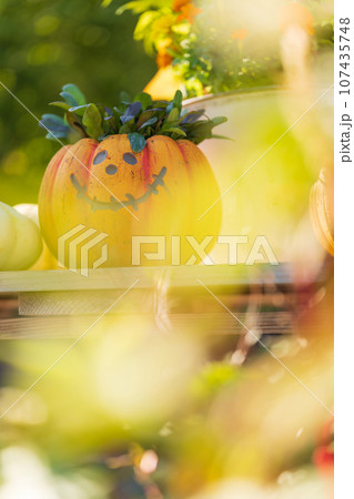 ハロウィン・イベント イメージ ハロウィン・イベント イメージ 107435748