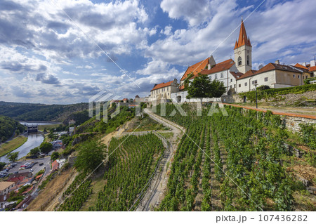 Paradise vineyard in Znojmo town, Southern Moravia, Czech Republic 107436282
