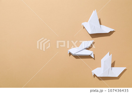 International day of peace or world peace day, symbol of peace - pigeon International day of peace or world peace day, symbol of peace - pigeon 107436435