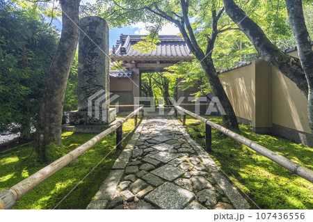 光悦寺　参道　青紅葉のトンネル（京都市北区鷹峯光悦町） 107436556