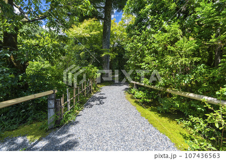 光悦寺　参道　--京都市北区鷹峯光悦町-- 107436563