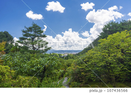 光悦寺　鷹ヶ峰　鷲ヶ峰を望む 107436566
