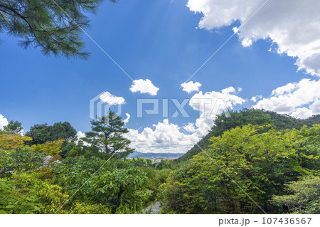 光悦寺　鷹ヶ峰　鷲ヶ峰を望む 107436567