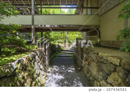 光悦寺 境内の美しい緑 --京都市北区鷹峯光悦町-- 光悦寺 境内の美しい緑 --京都市北区鷹峯光悦町-- 107436581