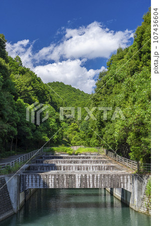 石山寺の月見橋周辺 石山寺の月見橋周辺 107436604