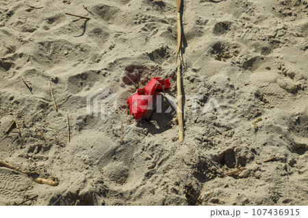 Pollution of the water body with plastic waste and garbage 107436915