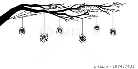 Halloween spider border with tree branch and...のイラスト素材 [107437433] - PIXTA