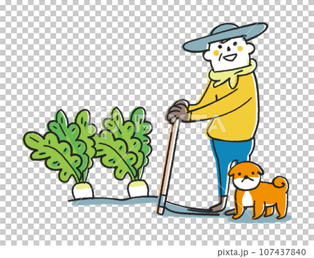 農民或家庭園丁拿著一個華麗的蘿蔔並抬頭看著他的插圖材料 107437840