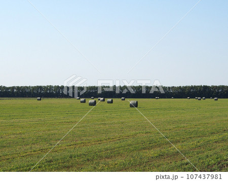 Summer landscape with mown hay packed in rolls. Rural landscape, beautiful place, concept of agrotourism. Summer landscape with mown hay packed in rolls. Rural landscape, beautiful place, concept of agrotourism. 107437981