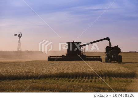Harvester machine, harvesting in the Argentine countryside, Buenos Aires province, Argentina. 107438226