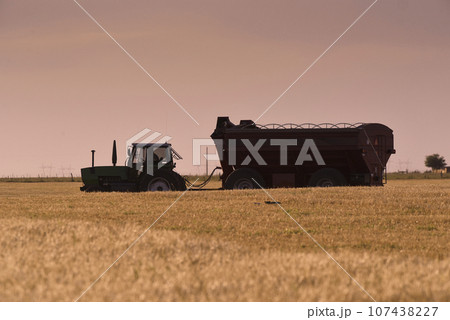 Harvester machine, harvesting in the Argentine countryside, Buenos Aires province, Argentina. 107438227