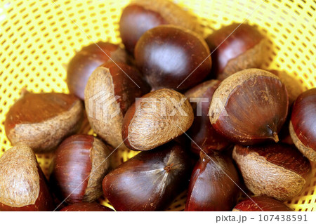 栗を茹でる 茹であがりをザルへ 栗を茹でる 茹であがりをザルへ 107438591