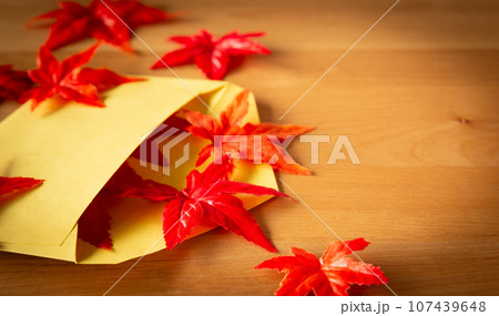 紅葉と封筒　秋の便り 107439648