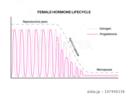 Hormones in pregnancy Hormones in pregnancy 107440136