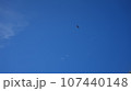 空を飛ぶ鳥 107440148