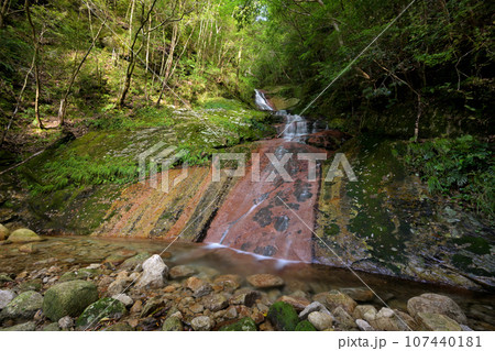 亥谷山西の滝（三重県尾鷲市賀田町） 107440181